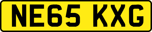 NE65KXG