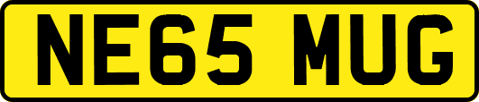 NE65MUG