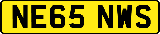 NE65NWS