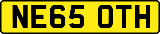 NE65OTH