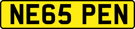 NE65PEN