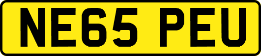 NE65PEU