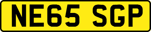 NE65SGP