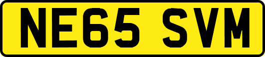 NE65SVM