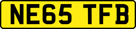 NE65TFB