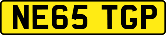 NE65TGP