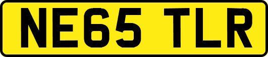 NE65TLR