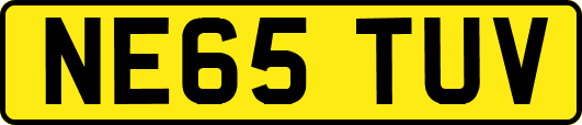 NE65TUV