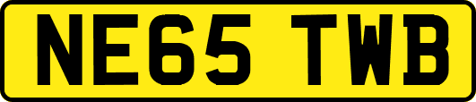 NE65TWB