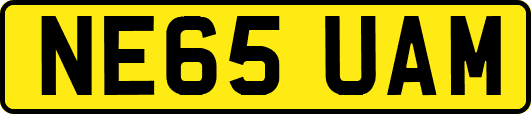 NE65UAM