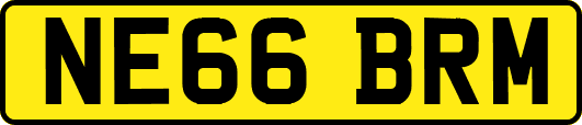 NE66BRM