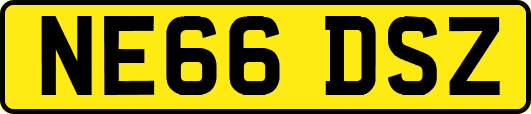 NE66DSZ