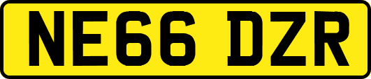 NE66DZR