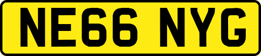 NE66NYG