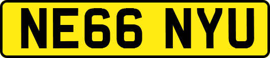 NE66NYU