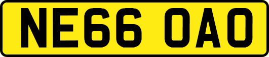 NE66OAO