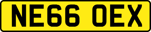 NE66OEX