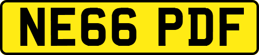 NE66PDF