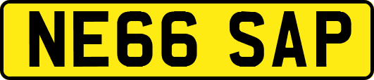 NE66SAP