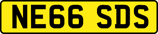 NE66SDS