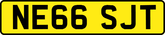 NE66SJT