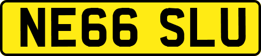 NE66SLU