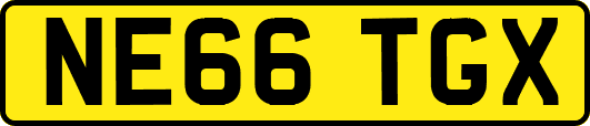 NE66TGX