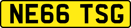 NE66TSG