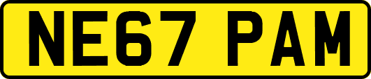 NE67PAM