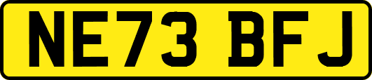 NE73BFJ