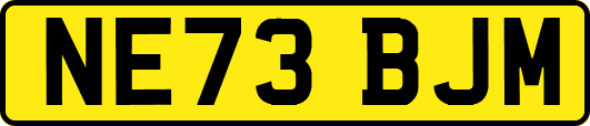 NE73BJM