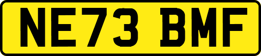 NE73BMF