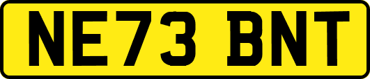 NE73BNT