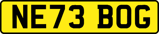 NE73BOG