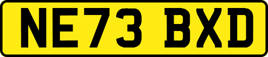 NE73BXD