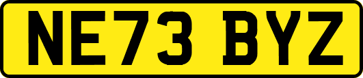 NE73BYZ