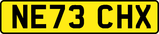 NE73CHX