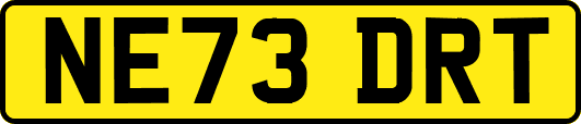 NE73DRT