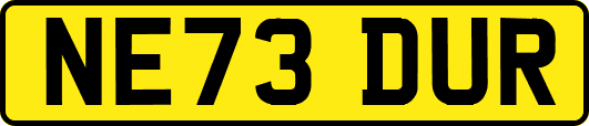 NE73DUR