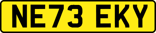 NE73EKY