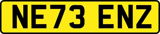 NE73ENZ