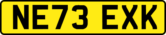 NE73EXK