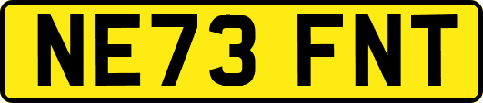NE73FNT