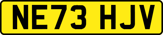 NE73HJV