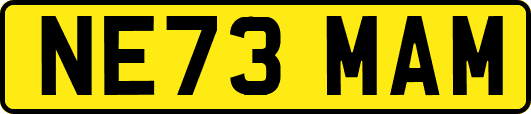 NE73MAM