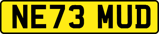 NE73MUD
