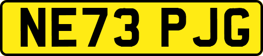 NE73PJG