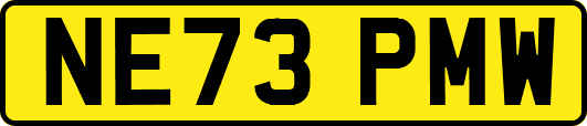 NE73PMW