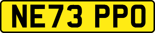 NE73PPO