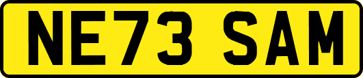 NE73SAM